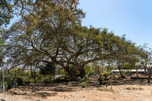 An ethiopian church found near Gorgora, Ethiopia in Africa photo