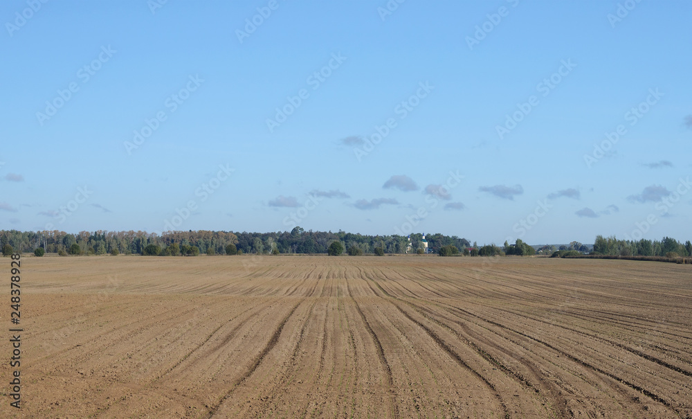 Arable field in the country