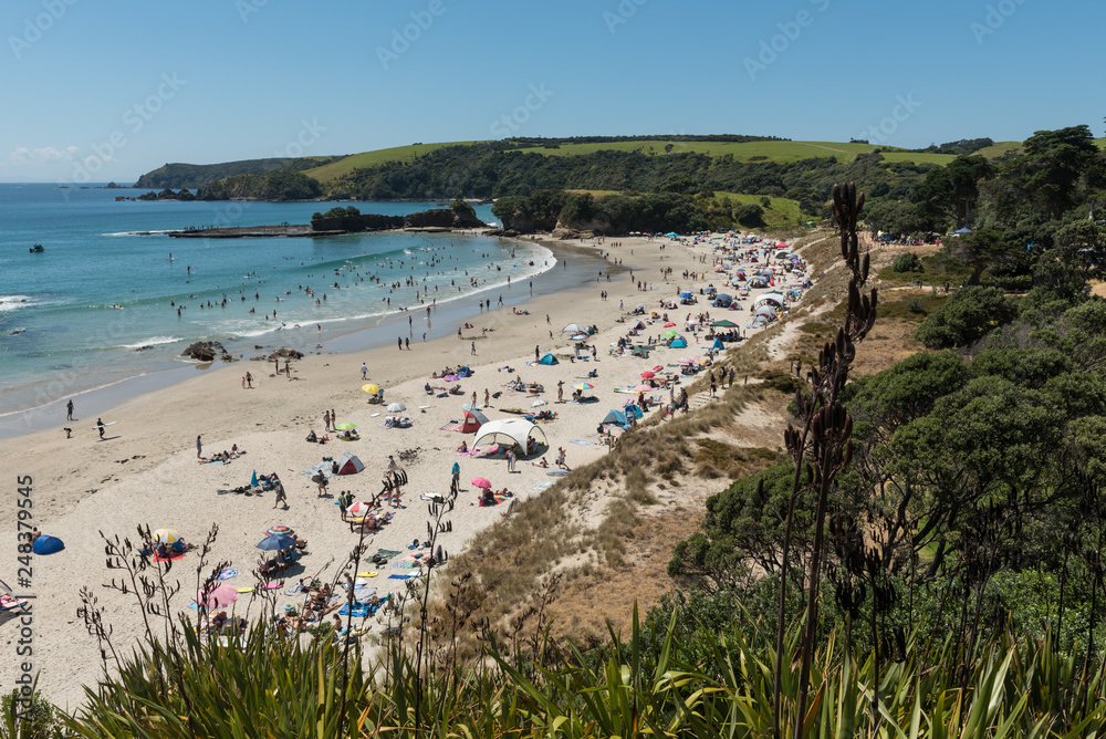 Crowds of beach-goers enjoying a beautiful, sunny, summer's day on the sandy beach at Anchor Bay, Tawharanui Regional Park, Auckland, New Zealand.