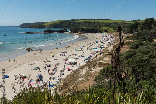 Crowds of beach-goers enjoying a beautiful, sunny, summer's day on the sandy beach at Anchor Bay, Tawharanui Regional Park, Auckland, New Zealand.