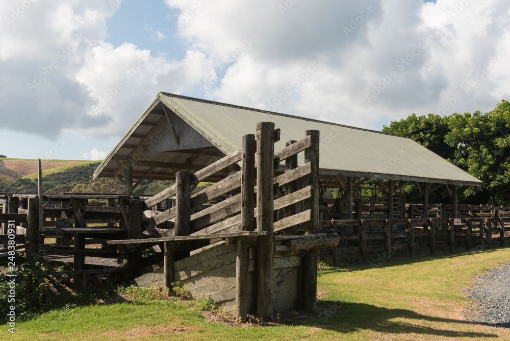 Old, wooden livestock loading chute with a covered holding pen behind. Tawharanui Regional Park, Auckland, New Zealand. Old, wooden livestock loading chute with a covered holding pen behind. Tawharanui Regional Park, Auckland, New Zealand.