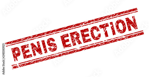 PENIS ERECTION seal print with grunge texture. Red vector rubber print of PENIS ERECTION text with grunge texture. Text caption is placed between double parallel lines.