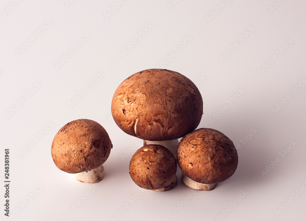 Champignon mushrooms with a brown cap Champignon mushrooms with a brown cap
