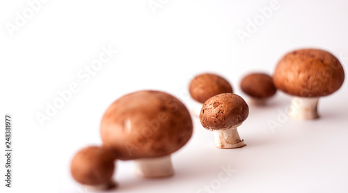 Champignon mushrooms with a brown cap