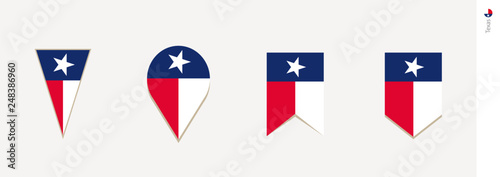 Texas flag in vertical design, vector illustration