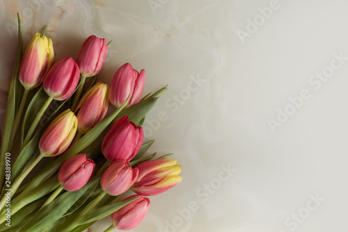 Fototapeta Naklejka Na Ścianę i Meble -  Greeting card with tulips