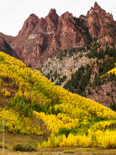 fall colors photo