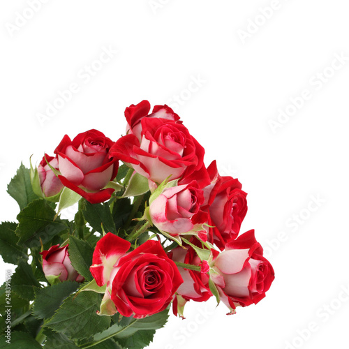 Bouquet of small red roses isolated on white background