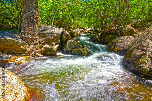 Beautiful River by Skip Weeks