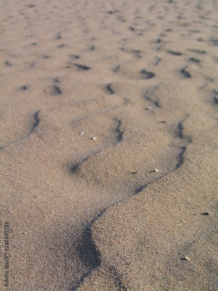 Castelldefels beach. Barcelona. Spain Castelldefels beach. Barcelona. Spain