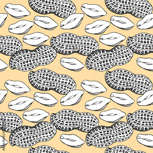 Vector seamless pattern with hand drawn peanuts.