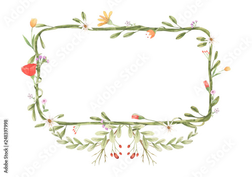 Fototapeta Naklejka Na Ścianę i Meble -  Watercolor frame of flowers, vine, leaf. Botanic ornament concept. Painting on white background. Isolated illustration for your unique decoration with greeting card, valentine card, wedding card.