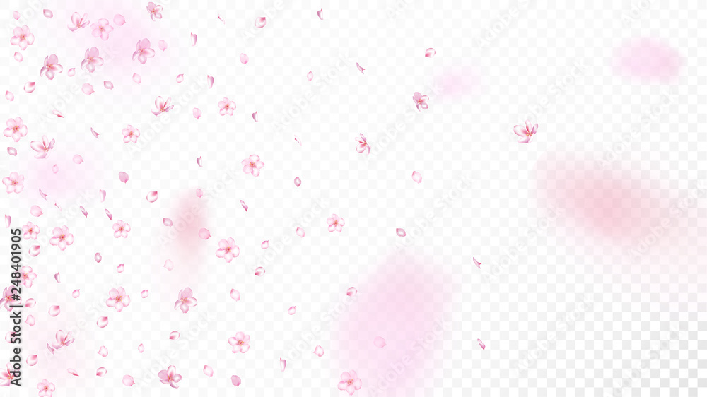 Nice Sakura Blossom Isolated Vector. Realistic Flying 3d Petals Wedding Frame. Japanese Beauty Spa Flowers Wallpaper. Valentine, Mother's Day Tender Nice Sakura Blossom Isolated on White