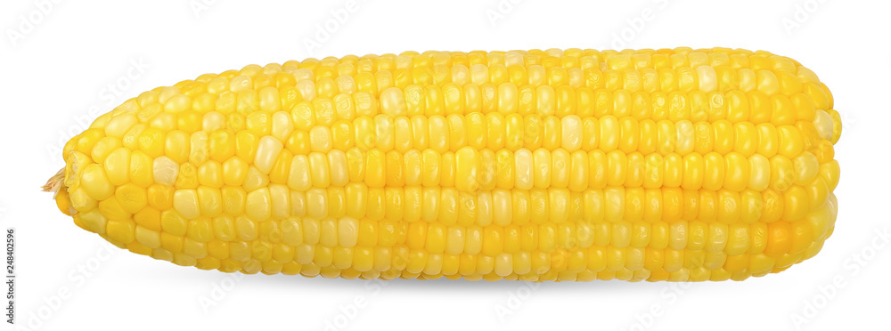 Sweet corn isolated on white clipping path - obrazy, fototapety, plakaty 