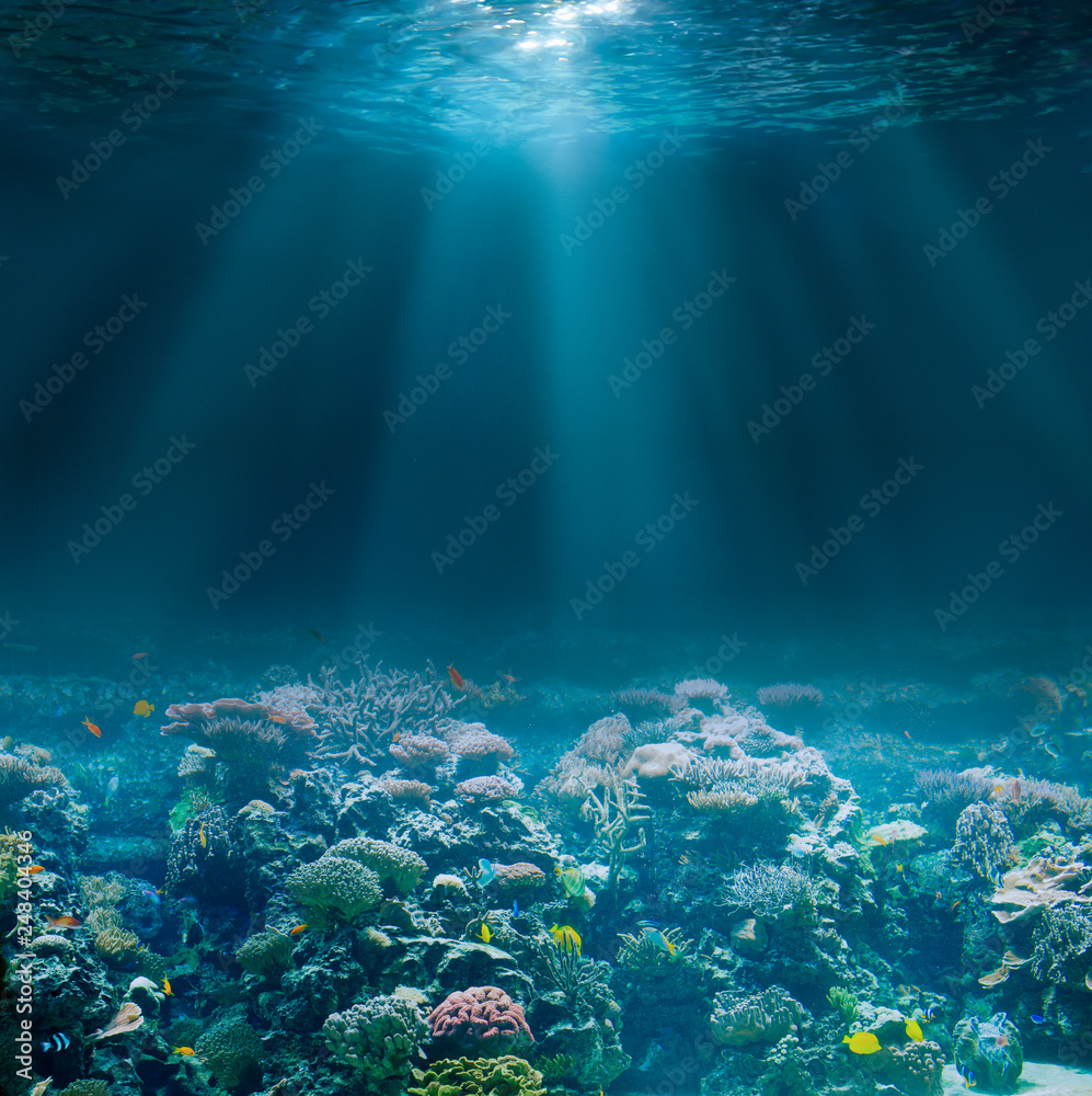 Sea or ocean seabed with coral reef. Underwater view. - obrazy, fototapety, plakaty 