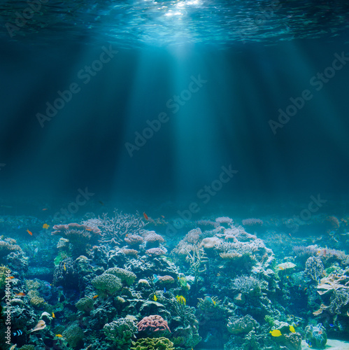 Stampa su tela Sea or ocean seabed with coral reef. Underwater view.