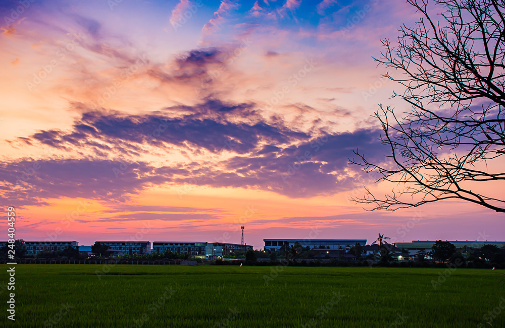 Beautiful light of Sunset with clouds in the sky reflection behind the building and paddy fields. Beautiful light of Sunset with clouds in the sky reflection behind the building and paddy fields.