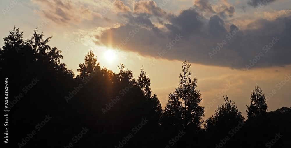Beautiful silhouette of trees and orange sunset and clouds. Beautiful silhouette of trees and orange sunset and clouds.