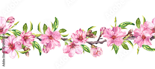 Apple  cherry pink flowers. Seamless floral stripe frame. Botanical watercolour painted border