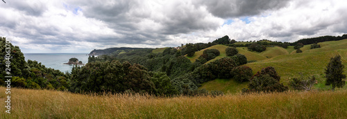 Summer rural landscape near Onemana, New Zealand