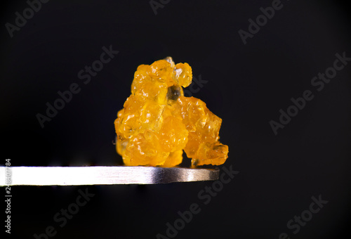 Macro detail of cannabis concentrate HTFSE extracted from medical marijuana