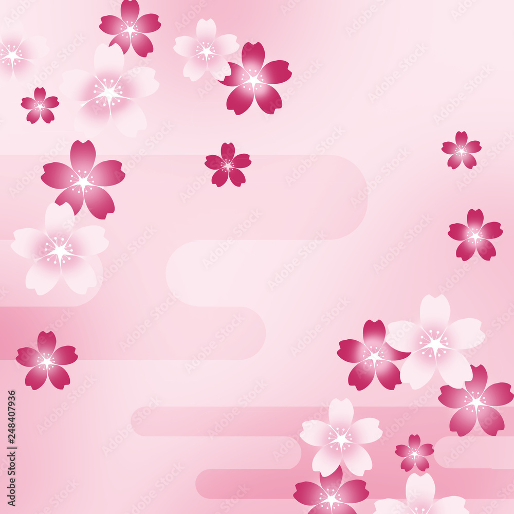 桜 さくら 和柄 和風 和柄背景 和風背景 花見 Stock Illustration Adobe Stock