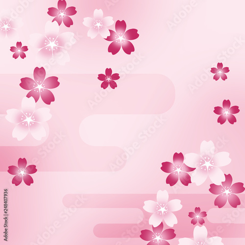 桜　さくら　和柄　和風　和柄背景　和風背景　花見