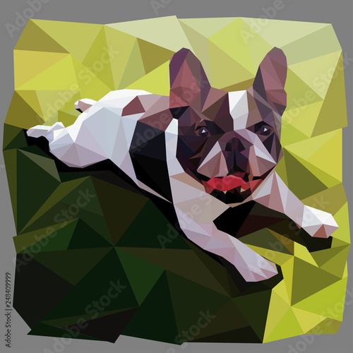 french bulldog smiles lying on grass in  low poly style vector graphic