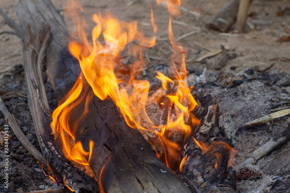 The image of logs in the burning fire. Flame of the burning fire. The image of logs in the burning fire. Flame of the burning fire.