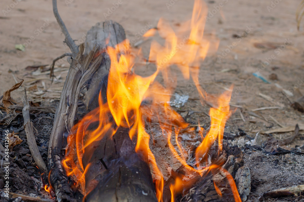 The image of logs in the burning fire. Flame of the burning fire. The image of logs in the burning fire. Flame of the burning fire.