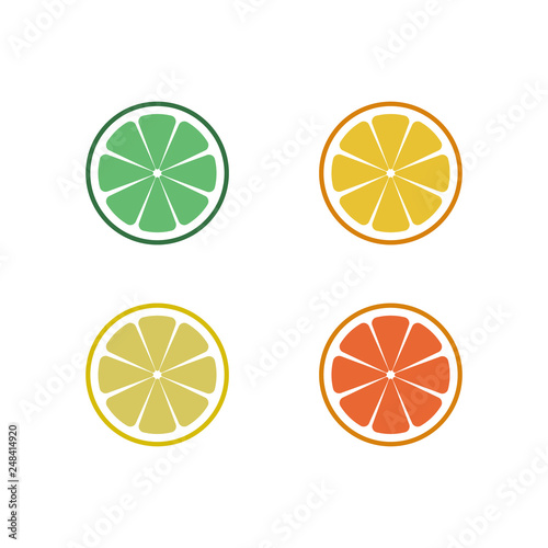 Fresh citrus fruits slices. vector illustration. Set of lime, lemon, orange and grapefruit