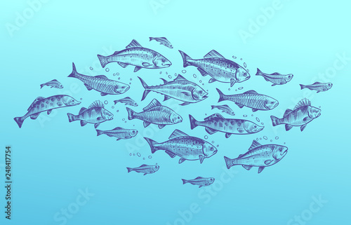 Fish school. Fishes group hand drawn sketch. Restaurant delicacy seafood menu dorado mackerel tuna fresh food design