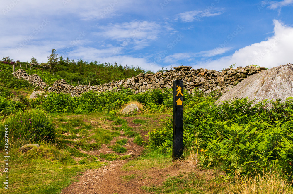 Marked hiking trail through green grass and fern along a dry stone wall in Wicklow Mountains, Ireland. Typical countryside Irish landscape on a sunny summer day. Marked hiking trail through green grass and fern along a dry stone wall in Wicklow Mountains, Ireland. Typical countryside Irish landscape on a sunny summer day.