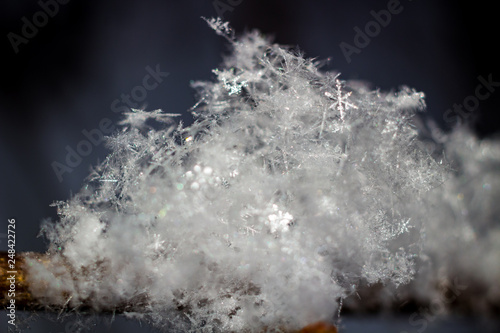 White snowflakes in nature closeup