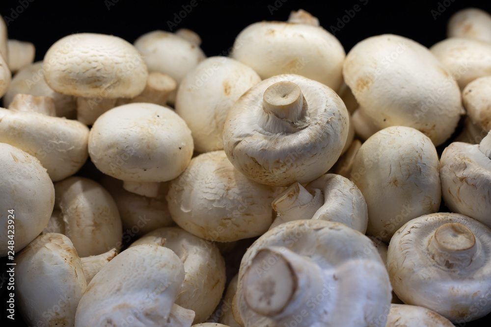 mushrooms on black background