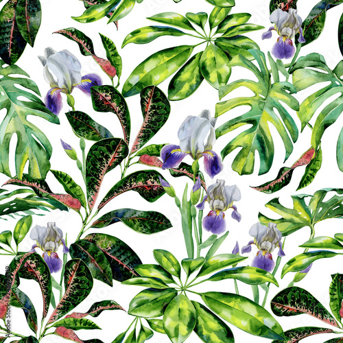 Seamless watercolor tropical pattern with green schefflera arboricola plant  ...