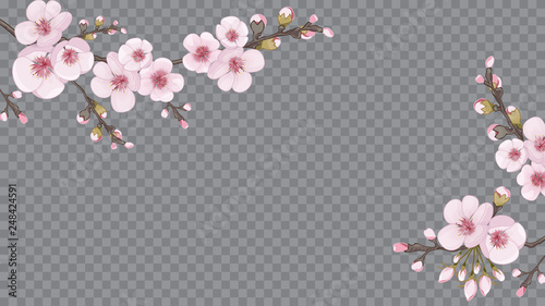 Festive frame horizontal of sakura flowers. Theme design fabric, invitations, packaging, cards. Magenta on transparent background. Handmade background in the Japanese style.