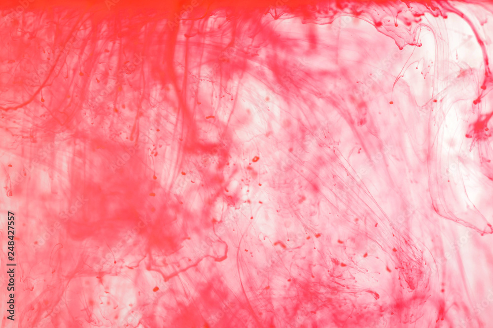 Fototapeta premium Red ink acrylic dropping in water, abstract background