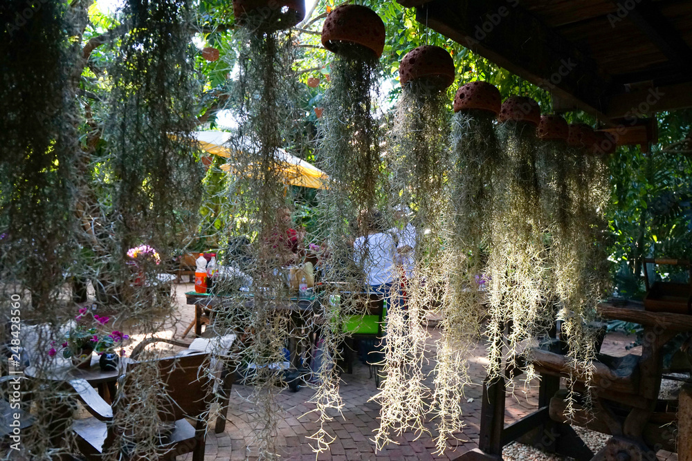 Naklejka premium Terasse de restaurant et mur de végétation