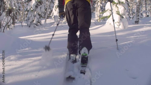 Dolly shot skitour in Siberia. Legs of a man skiing in a snowy forest, rear view.