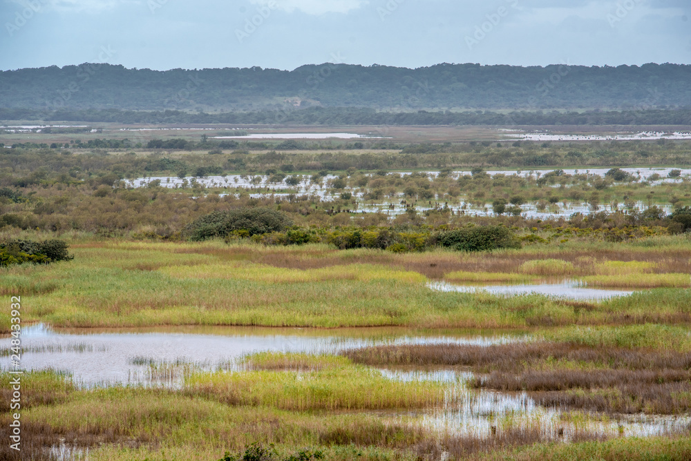 A wide views of the marshes in the western shores park of lake St Lucia in Isimangaliso Wetland Park, South Africa