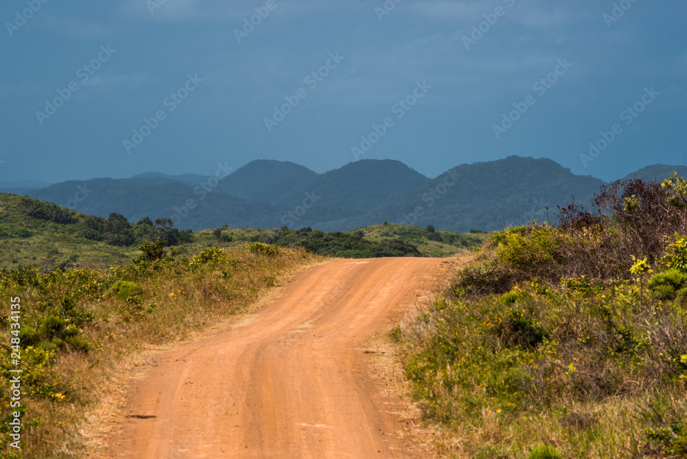 A red dirt road leading towards the distant dunes of the St Lucia estuary area in Isimangaliso Wetland Park, South Africa
