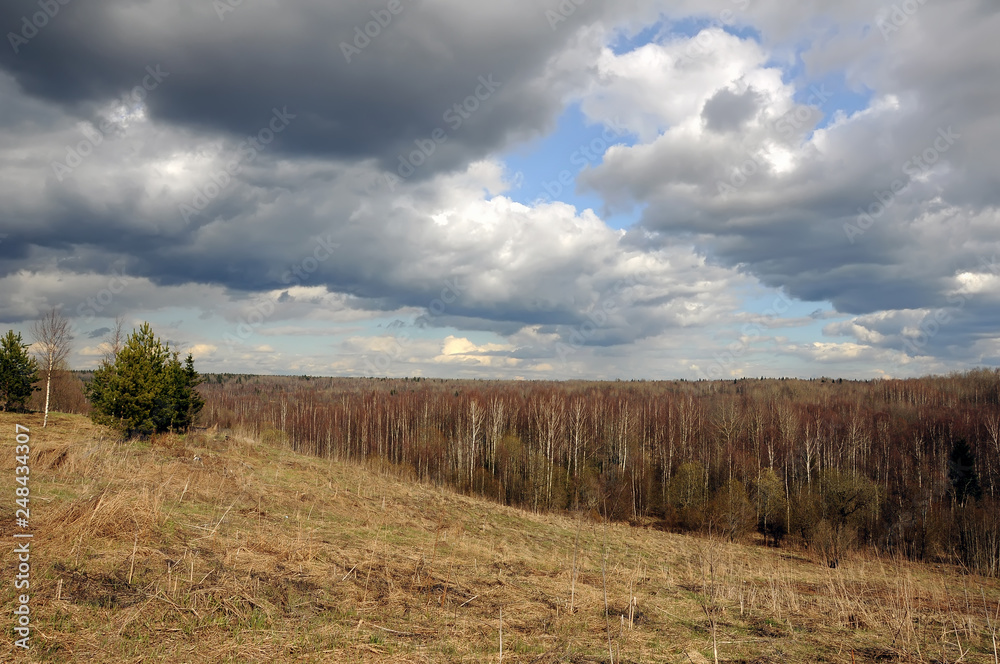 Cloudy day in early spring. Mixed forest on the hill. Russia. Leningrad region.