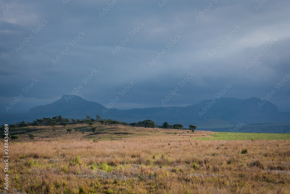 A grassy plain and hazy mountains in the distance, lit up by the late evening sun. Drakensberg, South Africa