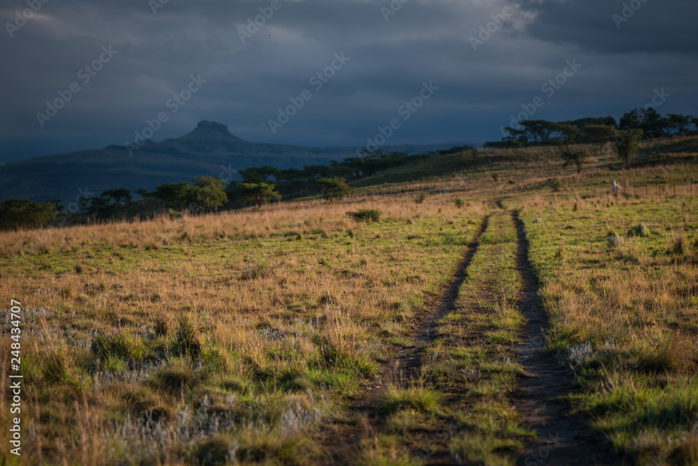 A track leads across a grassy plain towards the hazy mountains in the distance, lit up by the late evening sun. Drakensberg, South Africa