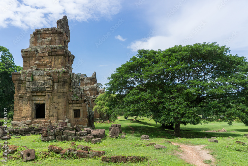 Ancient ruins and huge tree with large canopy at Angkor temple complex