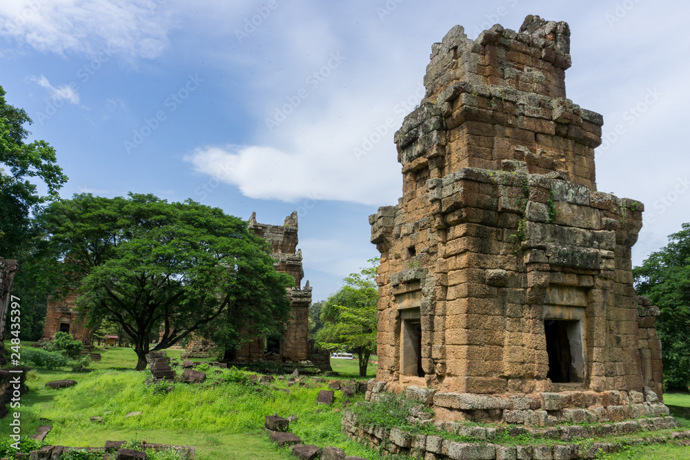 Ancient ruins and huge tree with large canopy at Angkor temple complex