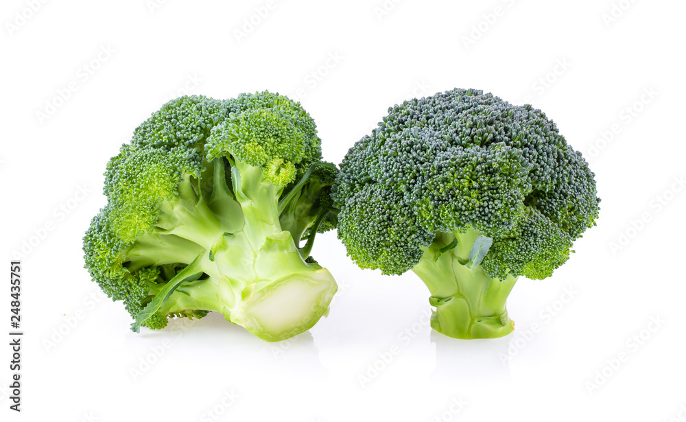 broccoli isolated on white background broccoli isolated on white background