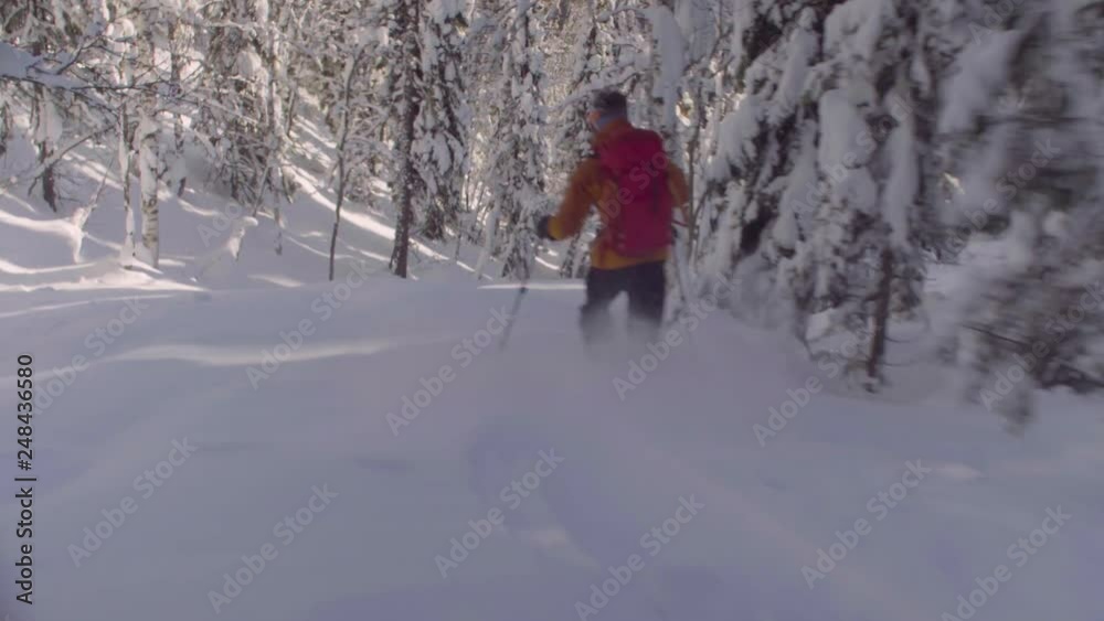 Dolly shot skitour in Siberia. A man riding down the hill in a snowy forest, rear view. Dolly shot skitour in Siberia. A man riding down the hill in a snowy forest, rear view.