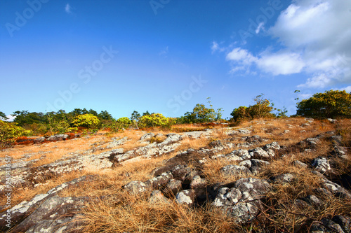 Knob Stone Ground is the famous travel place at Phuhinrongkla National Park in Thailand. photo